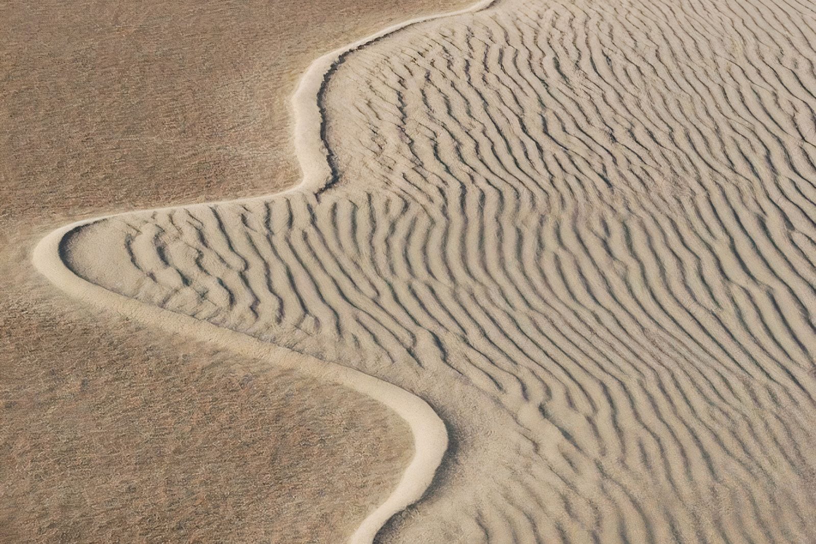 Aerial view of a sandy beach